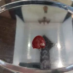 കോർപ്പൂസ് ക്രിസ്തി സന്ദേശം, ഫ്രാൻസിസ് പാപ്പാ