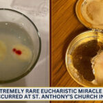 ദിവ്യകാരുണ്യ ഭക്തനായ ഒരു കൗമാരക്കാരൻ കൂടെ വിശുദ്ധ പദവിയിലേക്ക് !!!