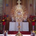 ദിവ്യകാരുണ്യ അത്ഭുതത്തിന്റെ ശാസ്ത്രിയ വിശകലനം; തിരുവോസ്തിയുടെ നടുക്കുള്ള ഭാഗം, തിരുവോസ്തിയിൽ നിന്ന് വേർതിരിക്കാൻ ആവാത്ത വിധത്തിൽ മനുഷ്യന്റെ ഹൃദയപേശി കോശങ്ങളായി പരിണമിച്ചിരിക്കുന്നു !!